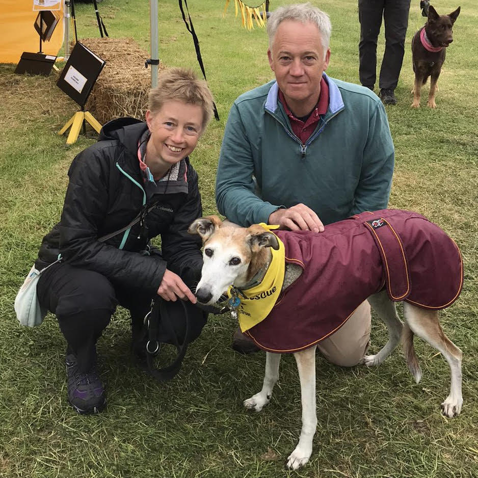 Lurcher dog with family at DogFest